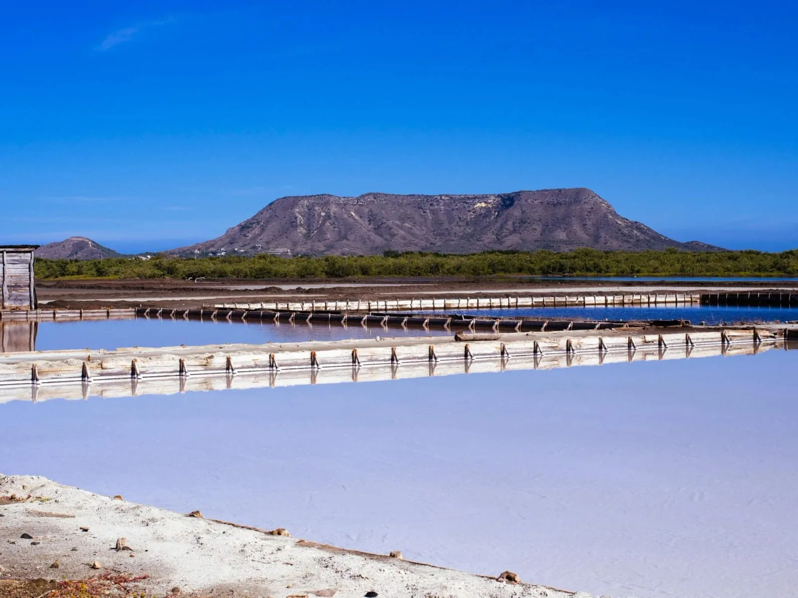 Montecristi